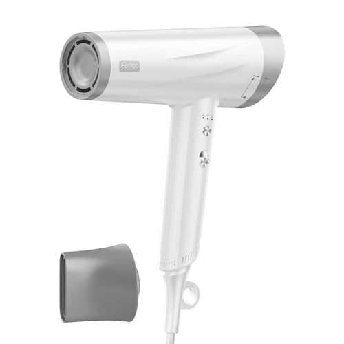 High Speed Ionic Hair Dryer, Professional Blow Dryer 110,000 RPM Fast Drying, 1875W Hairdryer with Concentrator Nozzle, 2 Temps & 3 Speeds, for Home Salon Travel