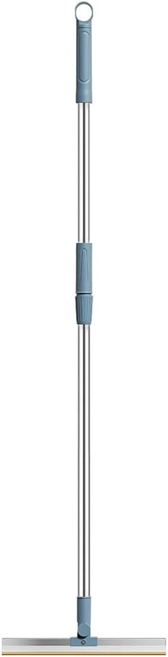 Reusable Remover for Pet Hair Adjustable Long Handle Carpet Rake Remover for Embedded Fur Scraper and Dog Hair Remover Durable Blue
