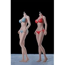 1/6 Scale Female Body,12inch Super Flexible Young Girl Medium Bust Seamless Action Figure Body Collection (S34A Pale Skin Without Head)