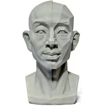 Generic Head Model for Artists, 2in1 Original & Planar Face, for Learning Planes and Light Details, Small Mannequin Manikin Head for Art Drawing Skecthing Study (Large(13.5cm))