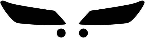 Rvinyl Precut Headlight Tint Film for Scion tC 2011-2013 - Installation Kit