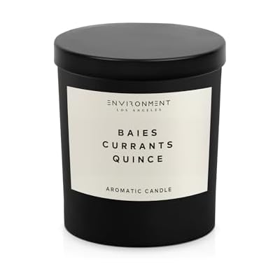 ENVIRONMENT Inspired by Designer Perfume DYPT Baies Candle, 8oz Luxury Coconut Apricot Wax Candles for Home Baies | Currants | Quince Home Fragrance Products, 1 Wick Candle, Vegan & Cruelty-Free