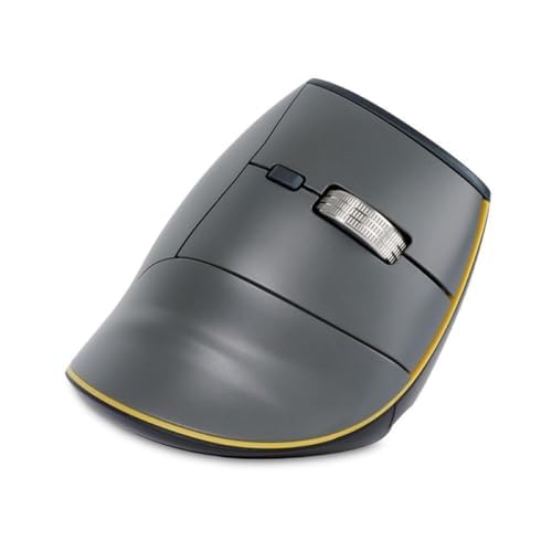 BakkerElkhuizen FastForward Vertical Mouse
