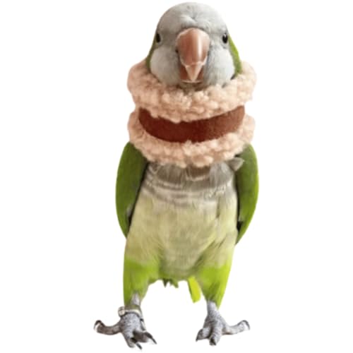 Pet Parrot Anti-Bite Elizabethan Collar, Neck Shield Anti-Grab Feather Plucking Wound Healing Safety Recovery Collar Cones for Budgerigar Lovebird Random Color M