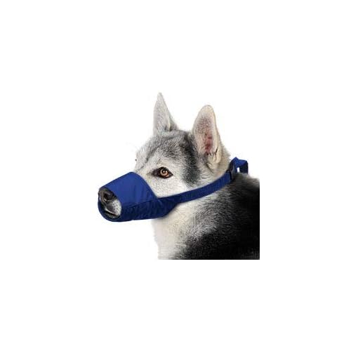 Four Flags Quick Muzzle, Large, Blue