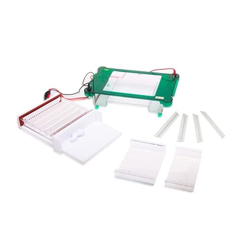Electrophoresis Horizontal Apparatus Gel Tank