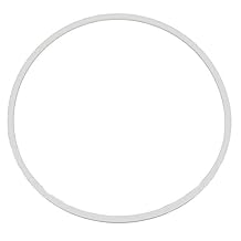 Blackmer 383801 Seal Ring Head for SNP2