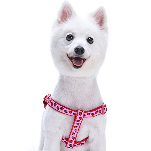 Blueberry Pet Essentials 2 Patterns Step-in Ladybug Designer Dog Harness, Chest Girth 16.5 - 21.5, Small, Adjustable Harnesses for Dogs