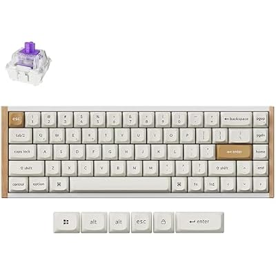 Keychron K6 HE Magnetic Keyboard, 65% Wireless Gaming Keyboard, 1000Hz 2.4GHz & Bluetooth, Adjustable Actuation & Rapid Trigger, Double-Shot PBT, AluminumWood Frame, for Mac Windows