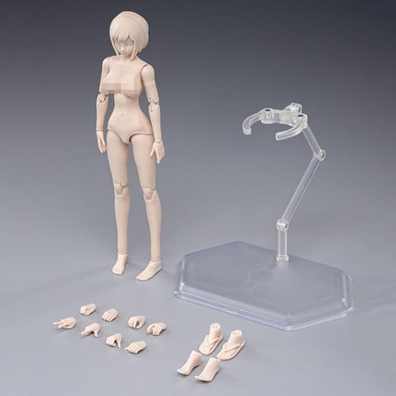 1/12 Scale Female Action Figure Body, 6 inches Flexible Ball Joint Female Action Figure Girl Doll Model with Head Sculpt & Detachable Hands & Feet Shapes & Holder Accessories (Big Bust)