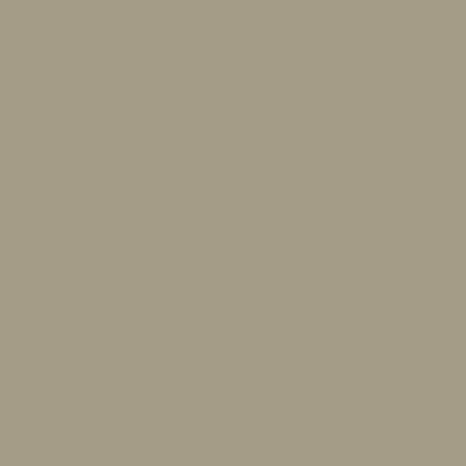 LATICRETE Latasil High Performance Silicone Sealant, Desert Khaki #56