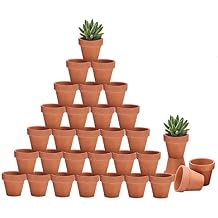 Riseuvo 32pcs 2" Small Mini Terracotta & Clay Pot Planter - Cactus Flower Nursery Terra Cotta Pots with Drainage, Perfect for Indoor/Outdoor Plants, Crafts