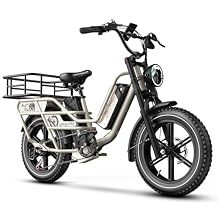 1500W Electric Bike for Adults,48V 20/25/60Ah Removable Battery Max Range 80Miles Electric Bicycle,20''4" Fat Tire Ebike,Adult Electric Bicycles for Commute Beach Snow,E-Bike UL Certified
