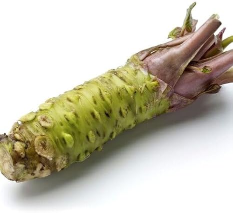 100pcs Green Wasabi Vegetable Seeds