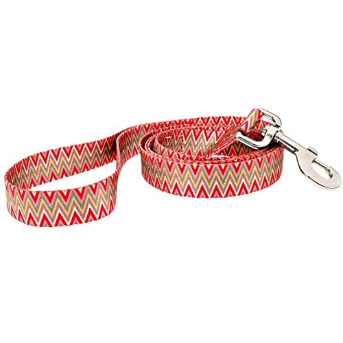 Fashion Dog Leash, 5-Feet, Passionate Pink Lily, PinkGreen