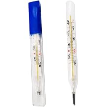 Healifty 2Pcs Mercury General Use Temperature Testing Tools