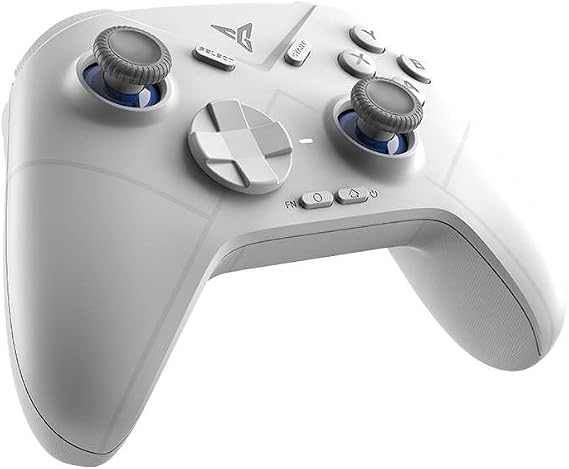 FLYDIGI DIRE WOLF3 Wireless Connectivity Controller, Nintendo Switch / Windows PC
