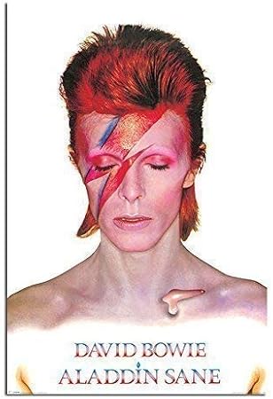 David Bowie Aladdin Sane Album Cover Poster Gloss Laminated - 91.5 x 61cms (36 x 24 Inches)