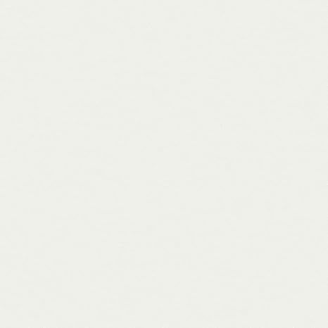 Designer White - D354 - Wilsonart Laminate Edge Strips - Matte Finish
