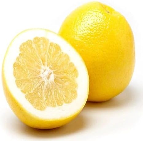 10pcs Yellow Grapefruit Seeds