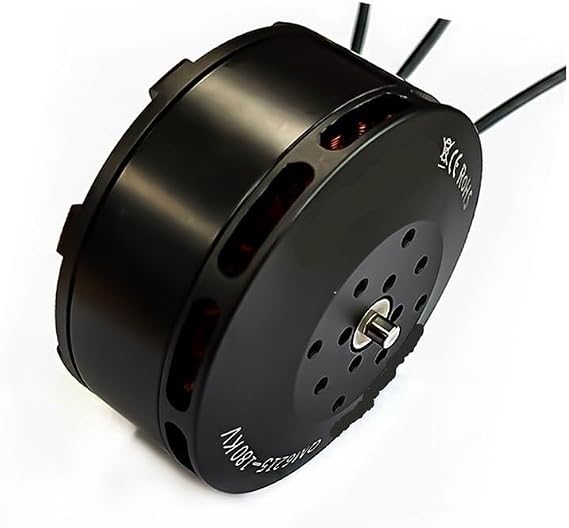 Brushless Disc Motor for QM6215 180 kV CW CCW Plant Protection Drone Control Multirotor Quadcopter Six-Axis Drone Parts (180KV CW)