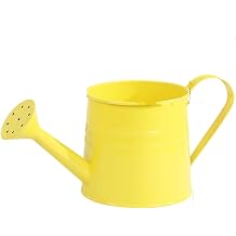 Metal Small Indoor Watering Can, Mini Watering Pot Waterings Can, Houseplant Wateringcan, Long Spout, Mini Wateringpot Waterings Can Outdoor Flower Water Pots, for Flowers Houseplants Gardening