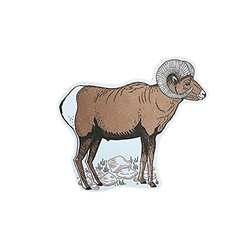 Noteworthy Bighorn Sheep Postcard