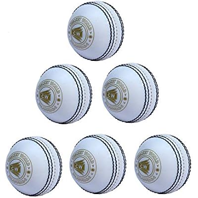 CW 6pcs Spin White Cricket Practice Balls Soft Synthetic Garden Cricket Play Ball