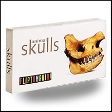 Fliptomania Animal Skulls Flipbook