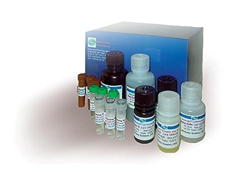 QTPR-100 - Protein Assay Kit - Total Protein Assay Kit, BioAssay Systems - Each