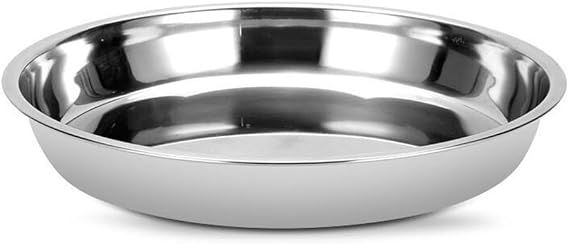 YJDOORPLAY Stainless Steel Round Serving Plate - Food Tray Dinner Plate Restaurant Dining Dish for Kitchen Hotel(26cm)