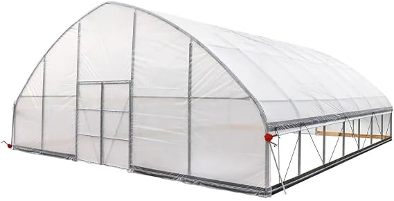 30x30ft Extra Large Greenhouse Heavy Duty Outdoor Grow Tent with 6 Mil Clear EVA Plastic Film,Walk in Tunnel Green House Plant Gardening Galvanized Steel Frame with Hand Crank Roll-Up Sides for Farm
