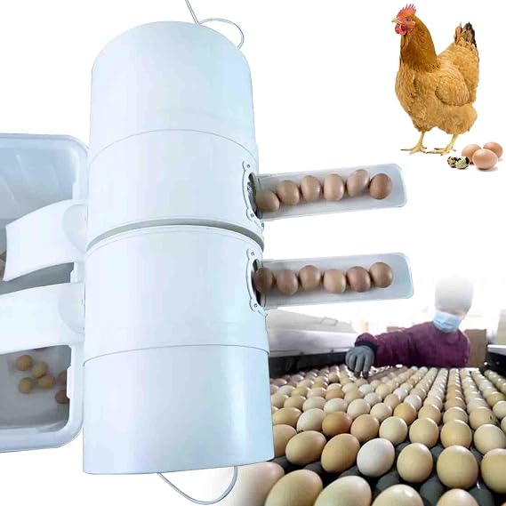 Electric Egg Washing Machine, Commercial Automatic Egg Washer Machine,Fresh Eggs Clean Brush Tool,for Farm (Double Barrel)