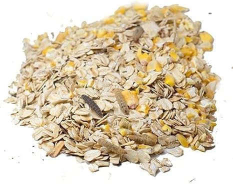 USA Black Soldier Fly Grub, Oatmeal, Herb Chicken Scratch Treat for Backyard Hens: Healthy Backyard Chicken Feed and Supplies, Cold Winter Nights (4 pounds)