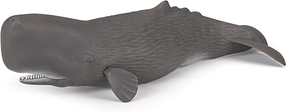 Papo - Sperm Whale Figure - 3 Years + Marine Life Collection