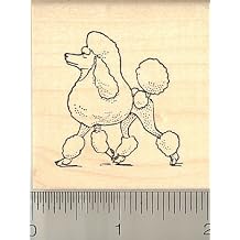 Poodle Dog Rubber Stamp