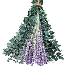 110 Pcs Mix Dried Eucalyptus Stems & Lavender Bundle for Shower, 17" Natural Real Preserved Eucalyptus Leaves Greenery, Lavender for Hanging Shower Plants, Flower Arrangements, Vase Decor