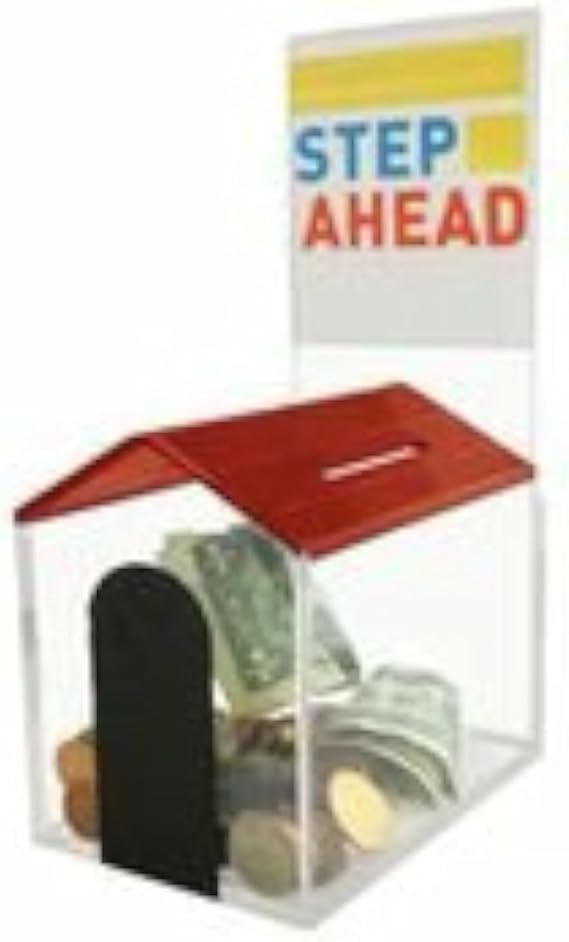 Dog House shelter Shaped Charity Donation Coin Collection Money Piggy Bank Ballot Box Animal House Suggestion and Fundraising Box with Cam-Lock and 2 Keys (Red)