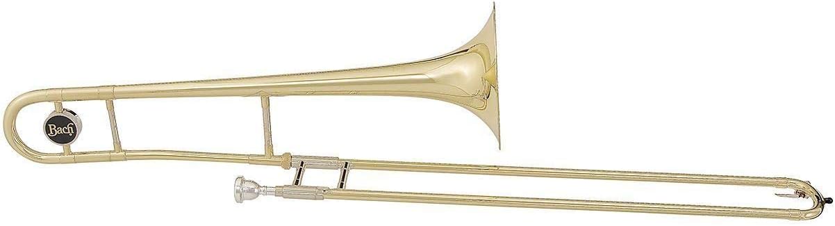 Vincent Bach Bach Trombone Cleaning and Care Product TB301