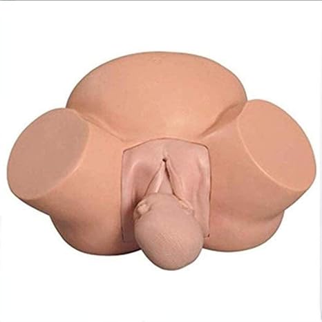 Midwifery Training Simulator, Normal Abnormal Fetal Positions with Female Pelvic Fetus Model, Enhance Childbirth Education & Teaching Model for Students (Large)