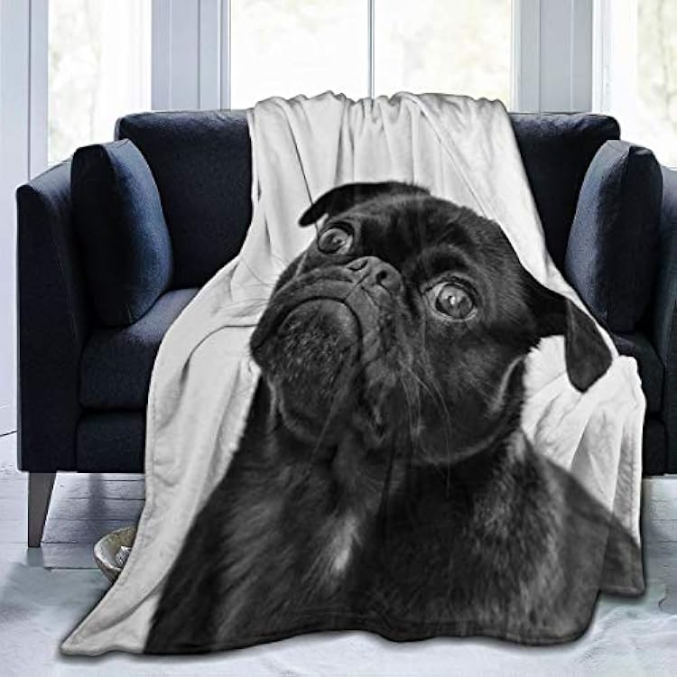 Cute Black Pug Dog Printed Blanket Throw Lightweight Soft Micro Fleece Throw Blankets Fit Couch Bed Living Room Sofa Chair 80X60