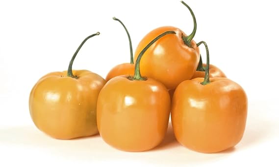 Pepper Joes Manzano Orange Pepper Seeds Pack of 10+ Hot Chili Pepper Seeds USA Grown Premium Non-GMO Manzano Pepper Seeds for Planting in Your Garden