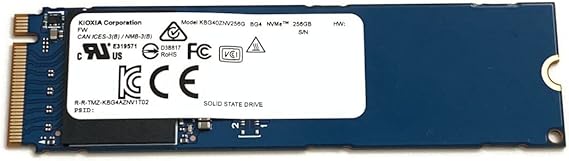 KIOXIA SSD 256GB BG4 M.2 2280 NVMe PCIe Gen3 x4 KBG40ZNV256G L57447 Solid State Drive for Laptop Desktop Ultrabook PS5 Console