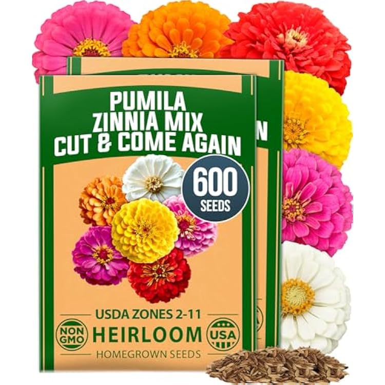 HOME GROWN Dwarf Zinnia Seeds Mix - 600 Pumila Zinnia Seeds for 2026 0.6g | Zinnia Flower Seeds for Planting Outdoors | Colorful Cut Annual Flowers for Summer Gardens & Containers Zinnia elegans