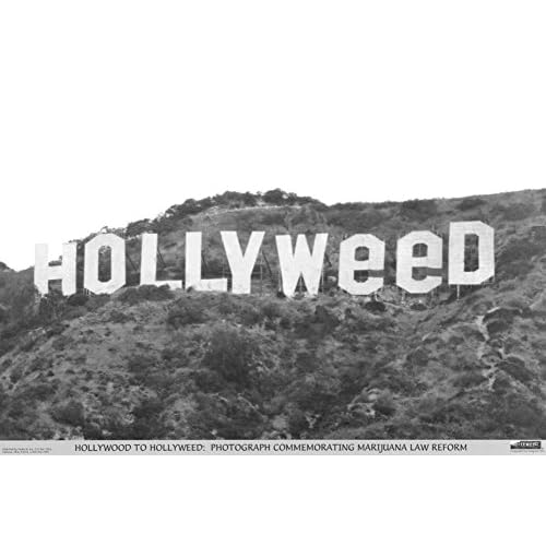 Studio B Hollyweed Poster Poster