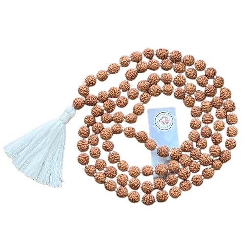 Rudraksha Mala 1081 Beads - Handmade 8MM beads 5 Mukhi Rudraksha Mala - 5 Mukhi Rudraksha Japa Mala, lord Shiva Japa Mala, Custom tassel - Light Blue