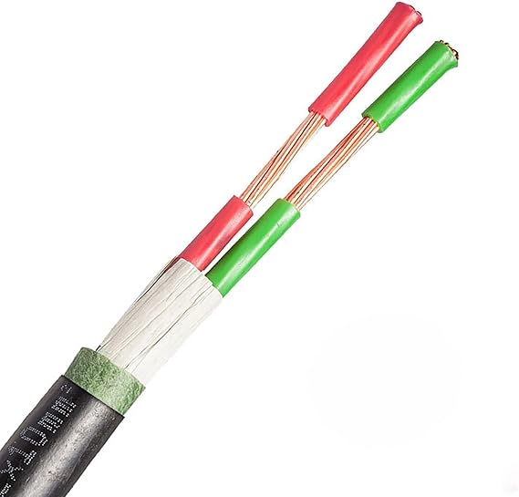 2-Core 0.6/1 KV Flame-Retardant Pure Copper Power Cable ZR-YJV Cross-Linked PE Insulation & PVC Sheath, 15 Ft/30 Ft/100 Ft, Indoor & Tunnel Installation(30ft,2 * 6mm)