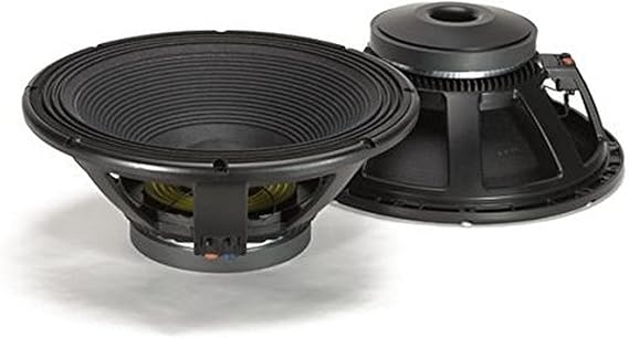 RCF LF18G401 -Watt -Channel Live Sound Monitor,Black