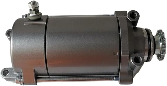 Starter Motor,Compatible With 253FMM Rebel CA250 CMX250 Tank Vision Baja Phoenix Regal Raptor DD250 CBT125 CBT150 CBT250 Jinlun Texan 250