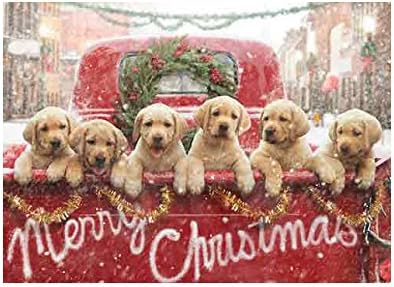 Avanti Press Christmas Cards, All The Love Your Heart Can Hold, Lab Puppies in Red Truck, 10 Count (701240)